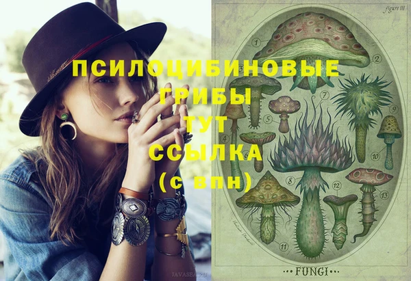 круглые Снежинск