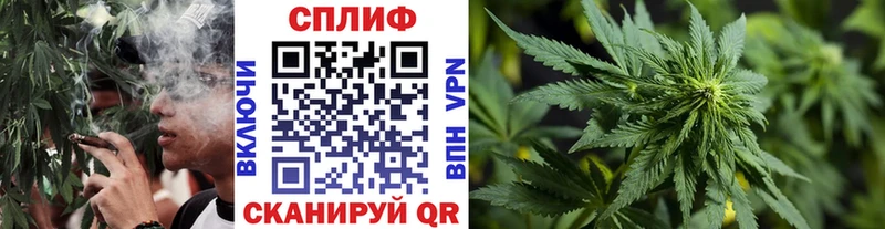 Шишки марихуана план  наркота  mega онион  Одинцово 